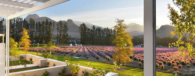 Lavender Farm Guesthouse