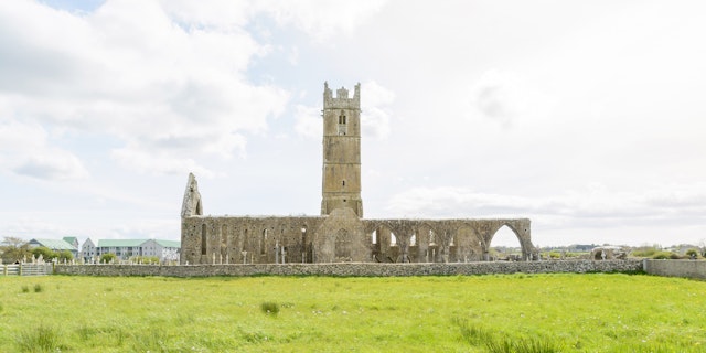 County Offaly-1