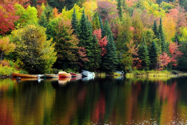 Algonquin Provincial Park-0