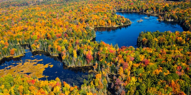 Algonquin Provincial Park-2