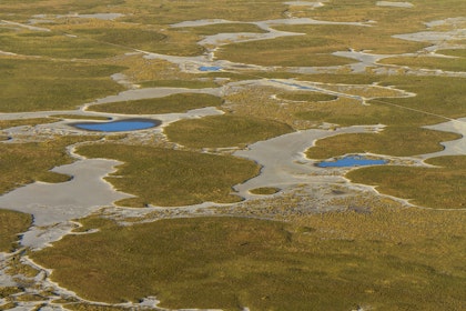 Botswana-Safari als Selbstfahrer - Image 2