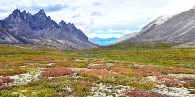 Denali entdecken: Von Fairbanks bis Skagway