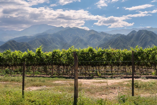 Calchaquí Valley-1