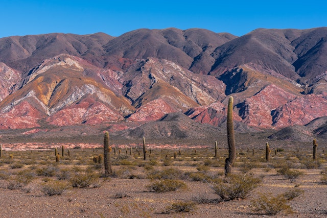 Calchaquí Valley-2