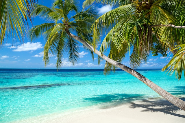 Gaaf Alif Atoll-2