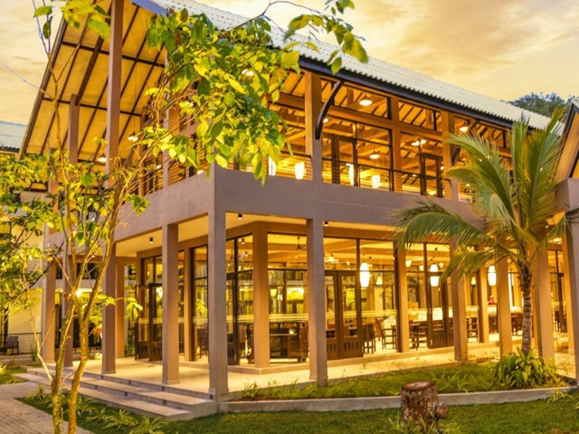 Oak Ray Wild Yala