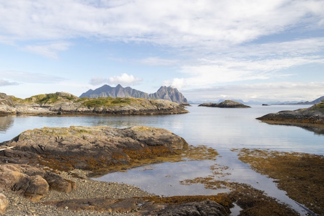 Svinøya-3