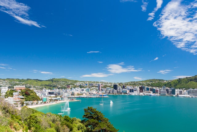 Wellington-1
