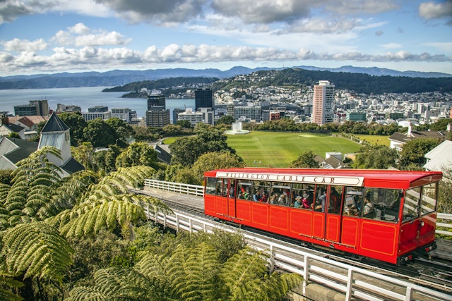 Wellington-0