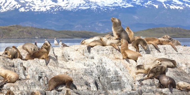 Tierra del Fuego Province (Argentina)-2