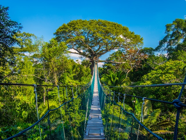 Tambopata National Reserve-0