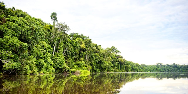 Tambopata National Reserve-2