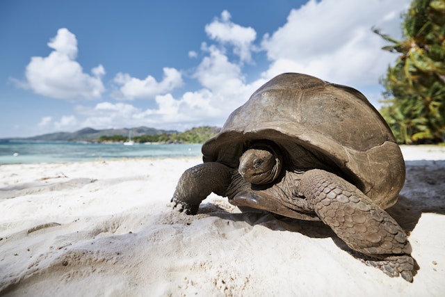 Praslin-1