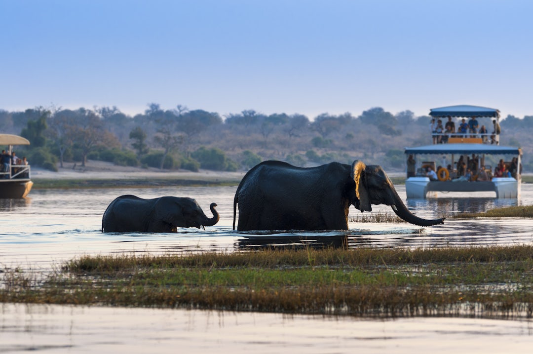 Afrika Rundreise: 2 Wochen unglaublicher Tierreichtum