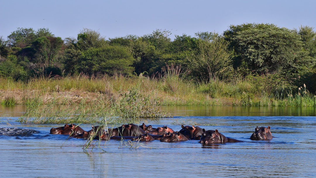 Namibia Rundreise: 13 Tage mit Viktoriafälle
