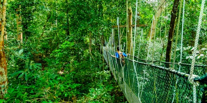 Voyage organisé en Malaisie - Image 3