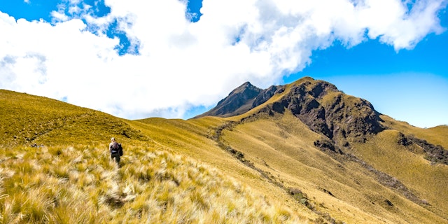 Puembo-2