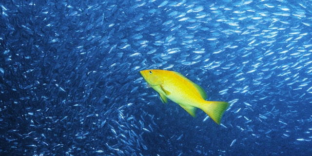 Mexiko Rundreise: 10 Tage Abenteuer