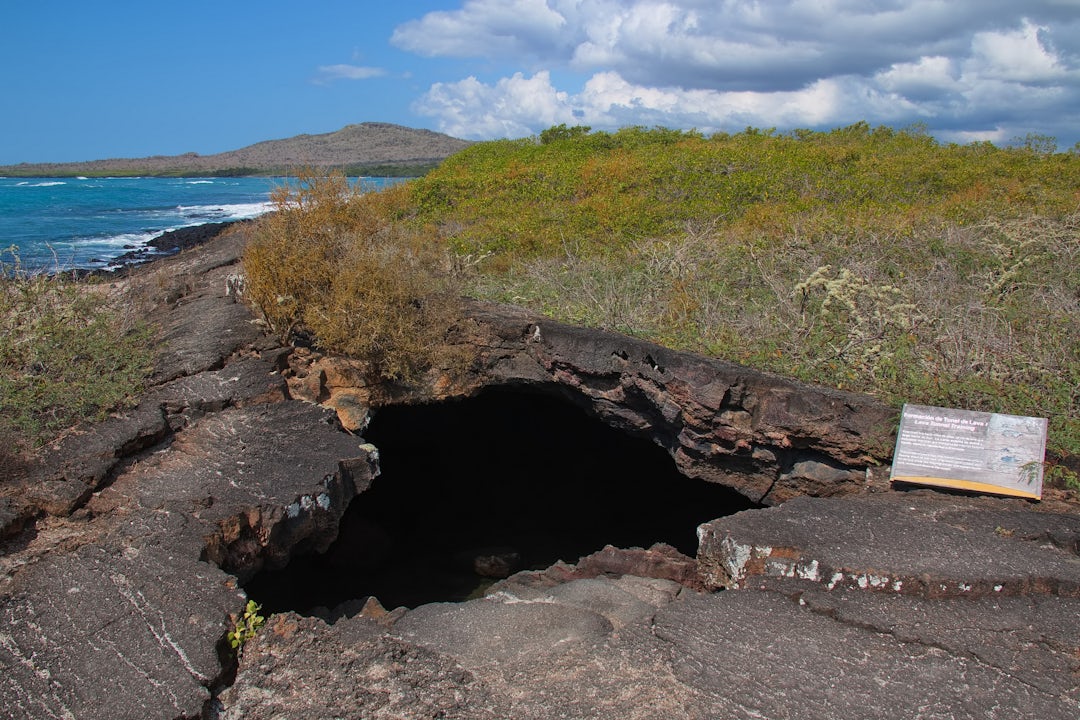 Galapagos-Bootstour: Naturwunder in 1 Woche