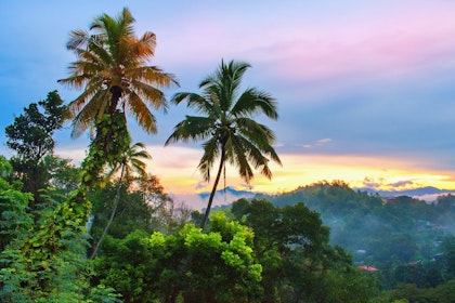 Sri-Lanka als Flitterwochen oder Traumreise - Image 3