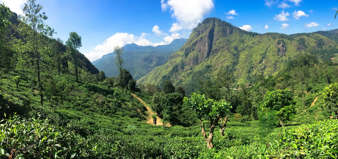 Aventures authentiques au sud-ouest du Sri Lanka