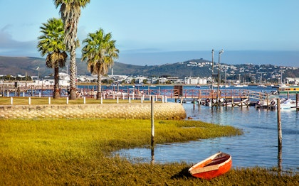 Road trip sur la Garden Route - Image 4