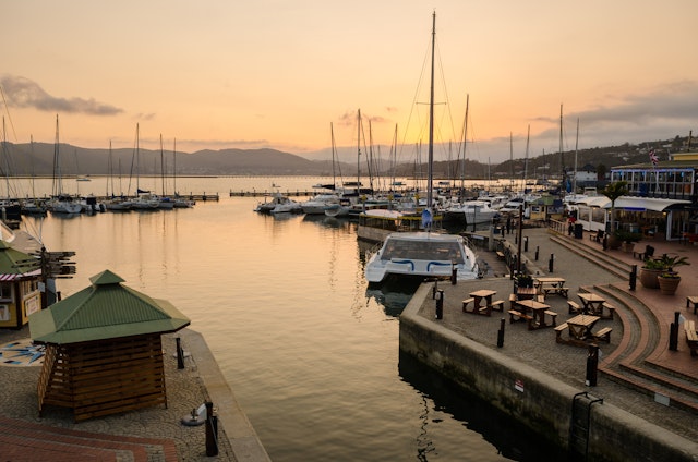 Safari: Wilde Wunder der Garden Route