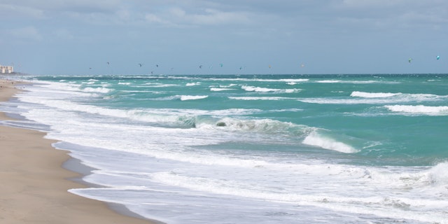 Juno Beach-1