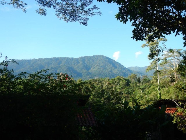 Selva Bananito Eco Lodge & Preserve