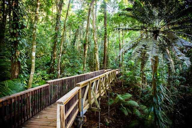 Port Douglas-3
