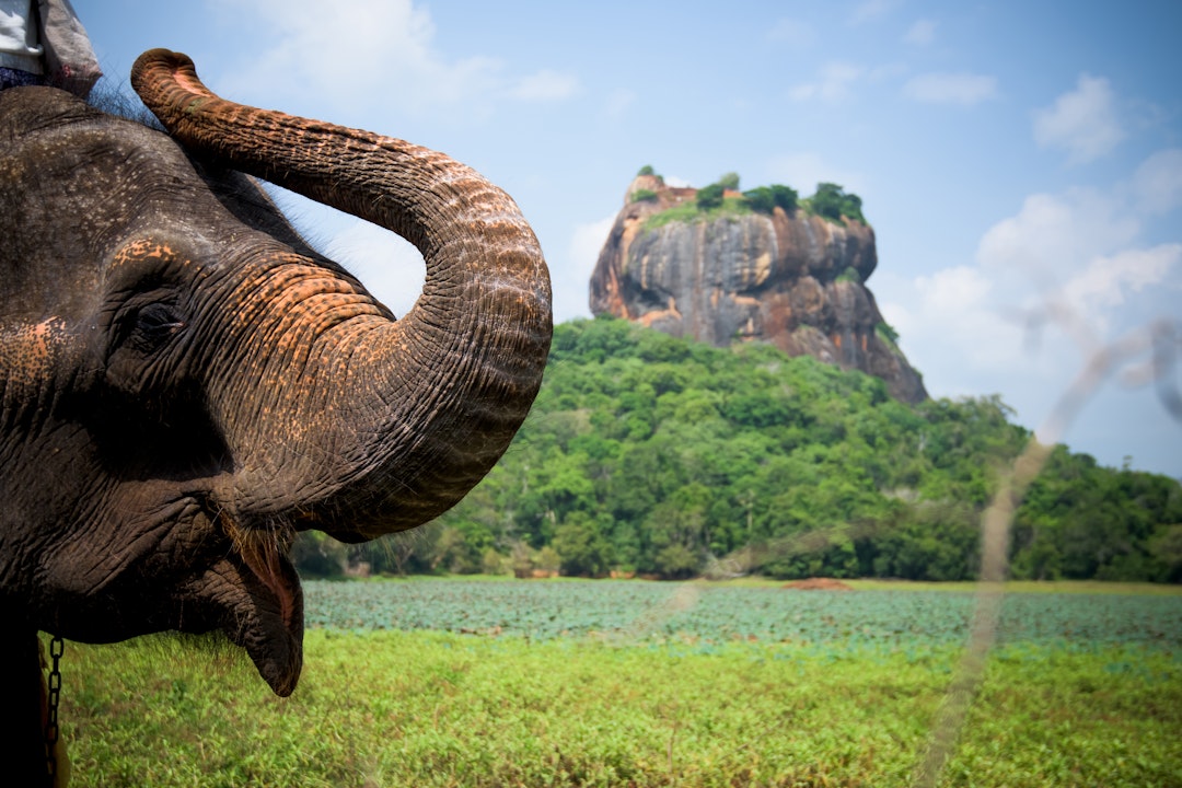 Voyage combiné Sri Lanka et Maldives : Itinéraire de 2 semaines