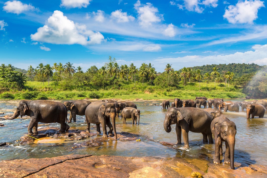 Sri Lanka Rundreise mit anschließendem Badeurlaub