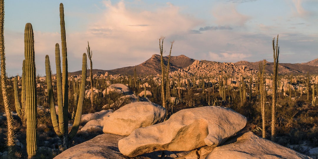 Mexiko Rundreise: 10 Tage Abenteuer