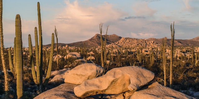 Mexiko Rundreise: 10 Tage Abenteuer