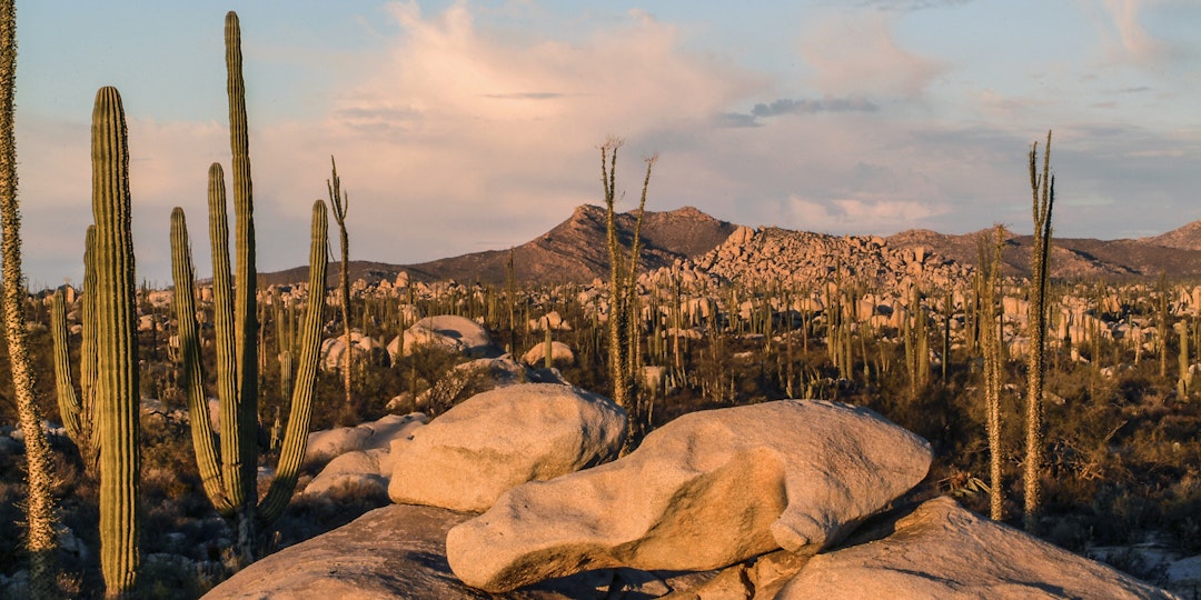 Mexiko Rundreise: 10 Tage Abenteuer