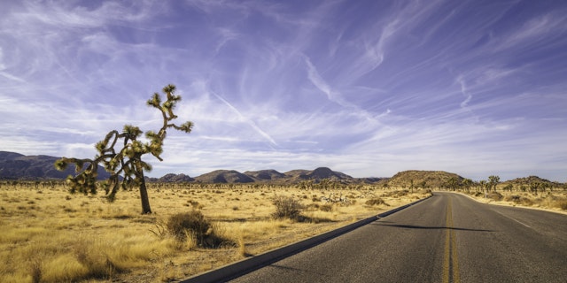 Joshua Tree National Park-2