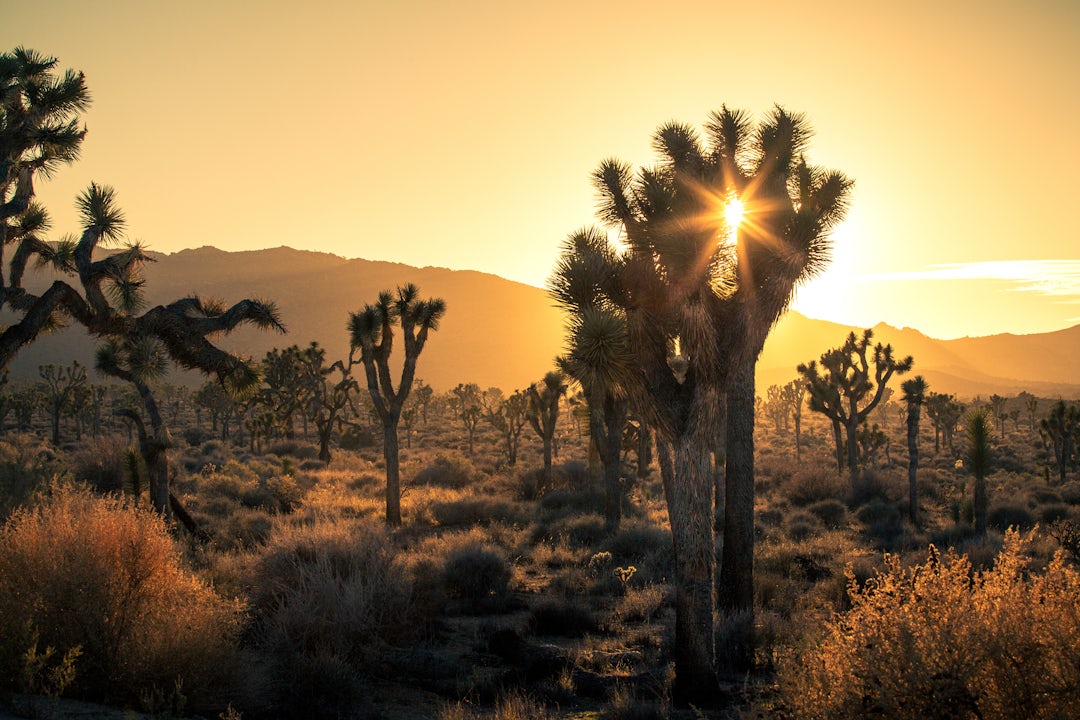 Road trip sur la côte ouest des USA de 3 semaines