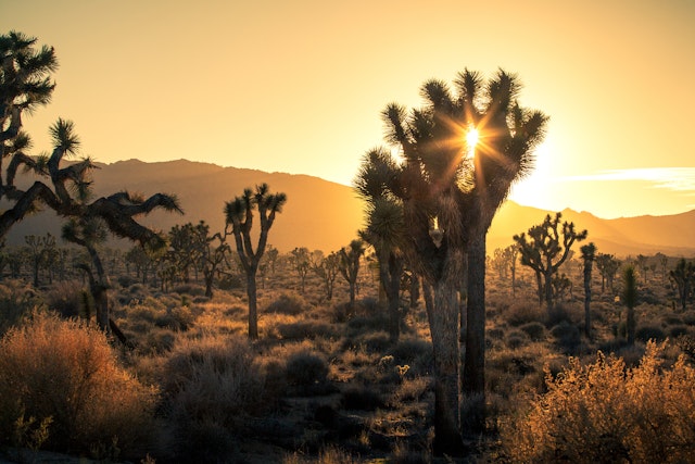 Road trip sur la côte ouest des USA de 3 semaines