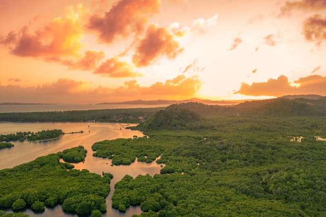 Regenwaldabenteuer: Brasilien Rundreise 