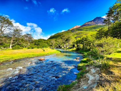 Circuit en Patagonie pour 15 jours - Image 3