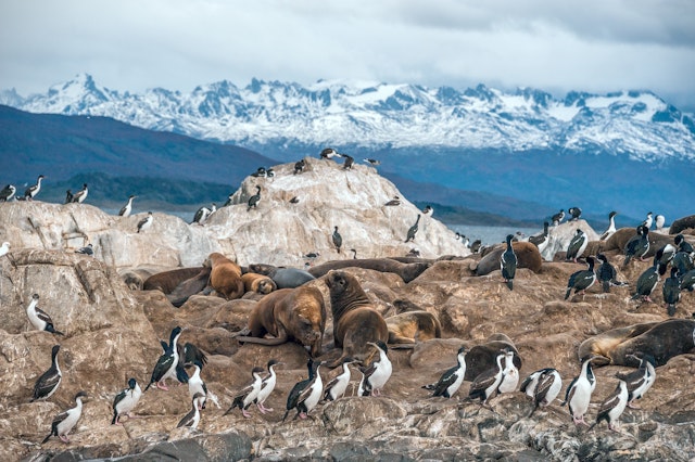 Ushuaia-1