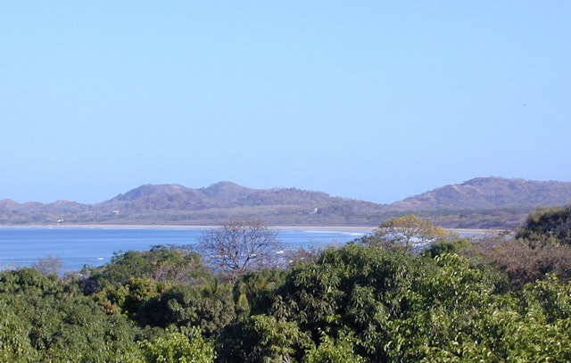 Tamarindo-2