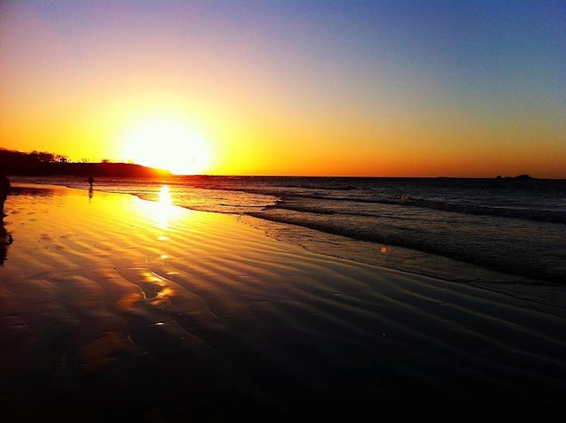 Tamarindo-5