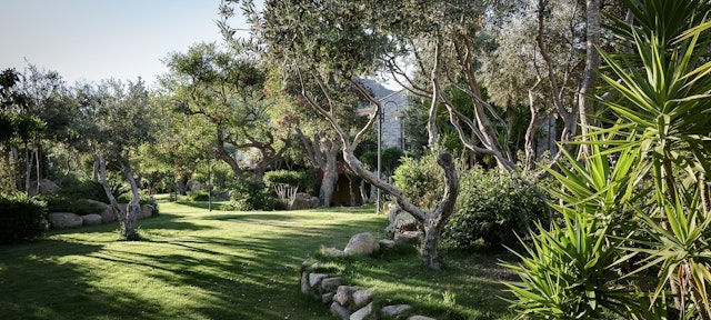 Cruccuris Resort