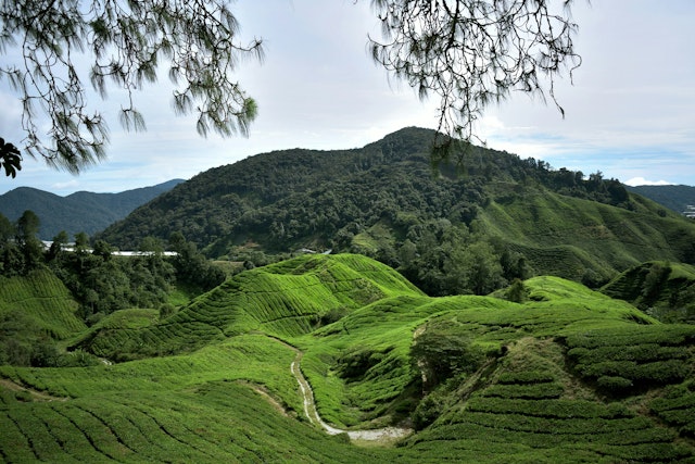 Malaysia Rundreise: 2 Wochen Städte & Strände