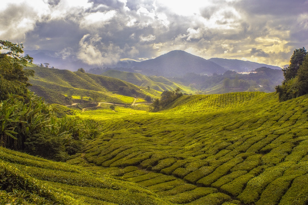 Individuelle Mietwagenrundreise durch Malaysia
