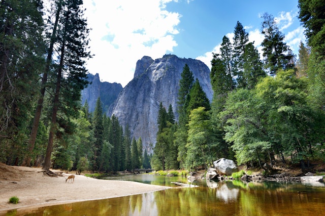 Yosemite National Park-0