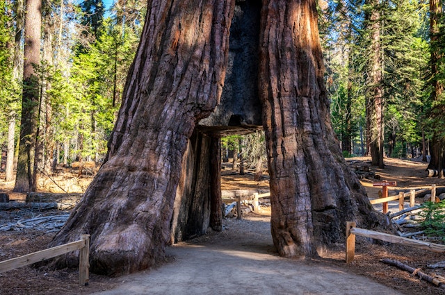 Yosemite National Park-2