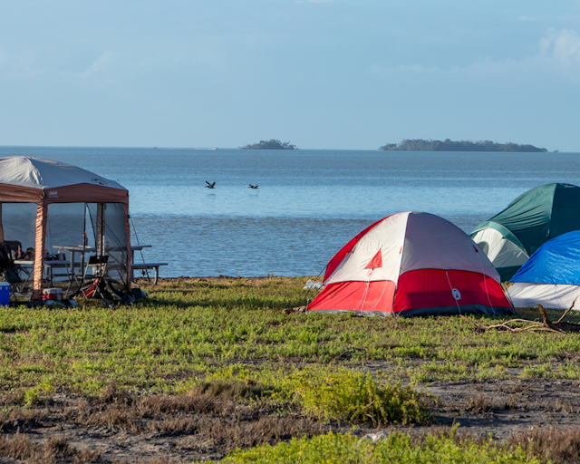Flamingo Campground
