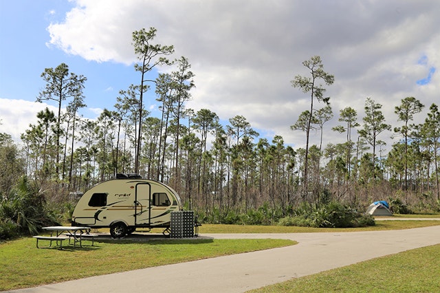 Flamingo Campground